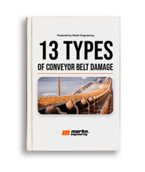 13 Types Book Cover