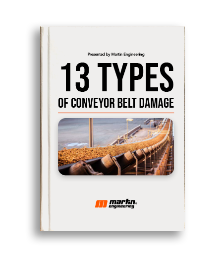 13 Types Book Cover